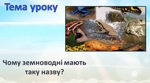Чому земноводні мають таку назву?