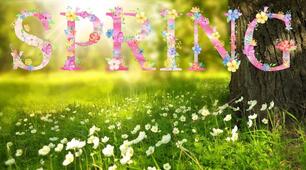 Презентація - урок "Springtime again"