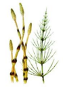 04022kqc-a1f9-93x132.png