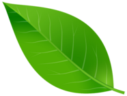 04022mpz-4f46-186x141.png
