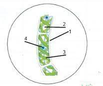 04022n59-6875-265x221.jpg
