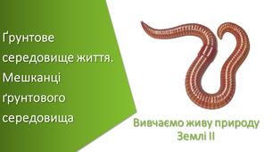 Презентація з уроку Пізнаємо природу для 5 класу на тему «Ґрунтове середовище життя. Мешканці ґрунтового середовища»