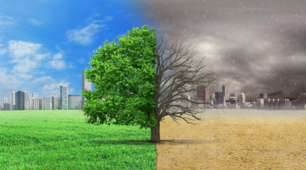 La nature et l'environnement