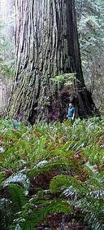04022rxb-1649-151x333.jpg