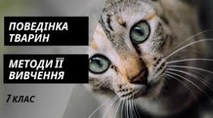 Поведінка тварин у природі та методи їх вивчення