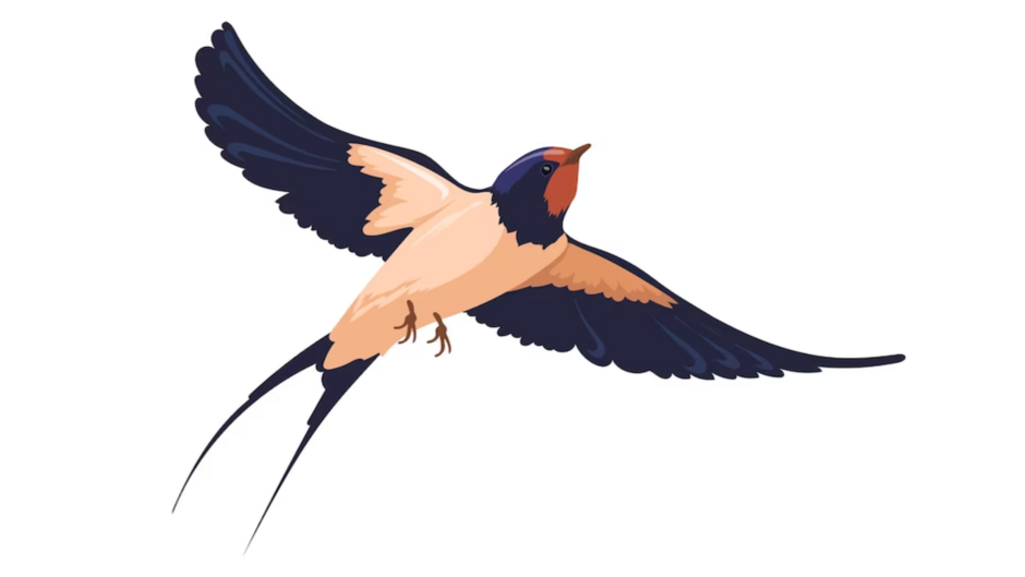 04022uz9-d8ec-940x529.png
