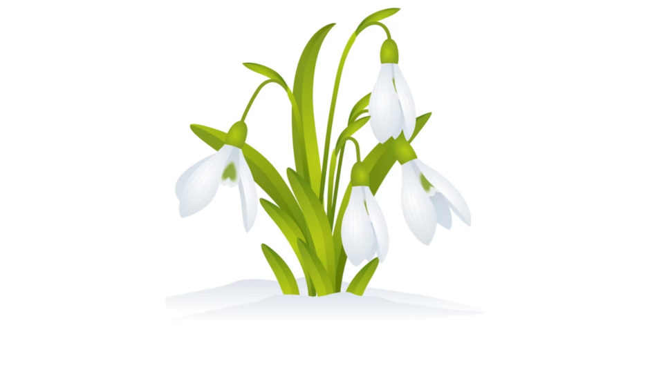 04022v13-834e-940x529.png