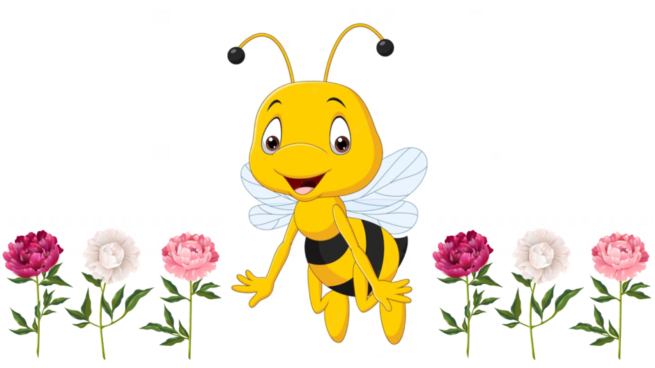 04022v17-8b49-940x529.png