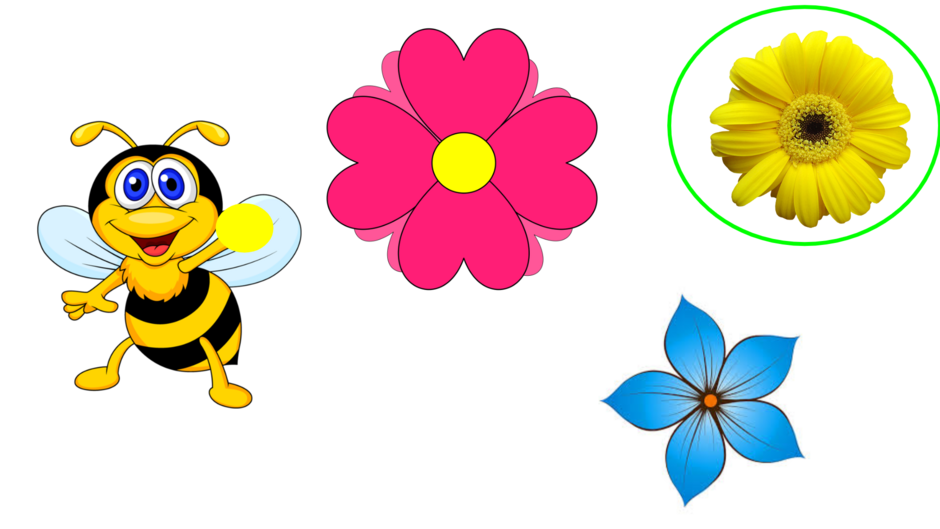 04022v1i-12ce-940x529.png