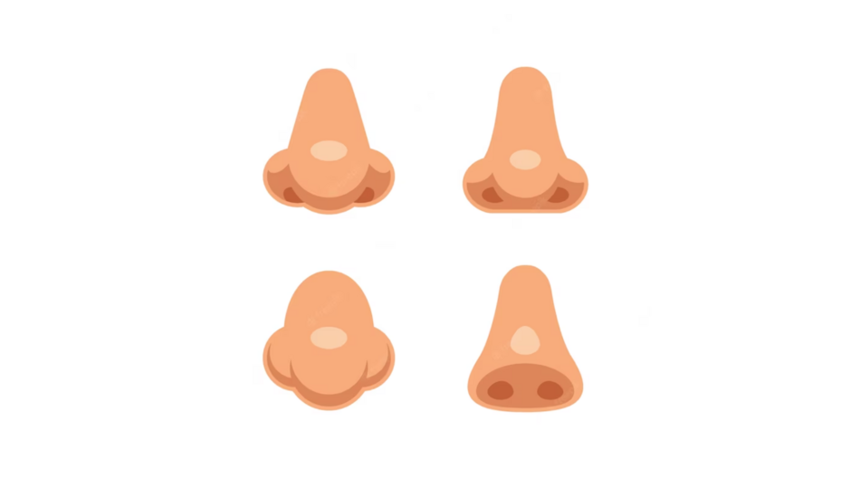 04022v8y-6495-940x529.png