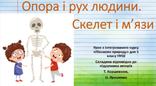 Опора і рух людини. Скелет, м’язи та постава."Пізнаємо природу", 5 клас НУШ, за програмою авт. Коршевнюк Т. В