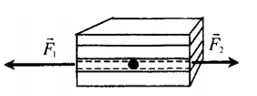 04022ysb-beb7-257x96.png