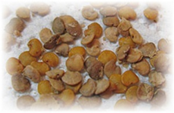 04022yuw-518d-252x164.png