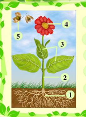 0402308r-f62c-275x375.png
