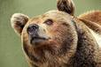 0402339d-3dfc-114x76.jpg