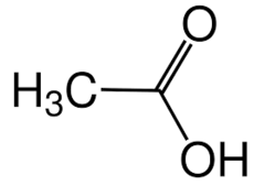 040233gj-1a70-239x169.png