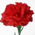 040233rx-f7f2-124x124.jpg