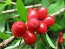 040233sq-14a0-128x96.jpg