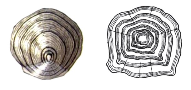 0402342v-6a4c-611x290.png