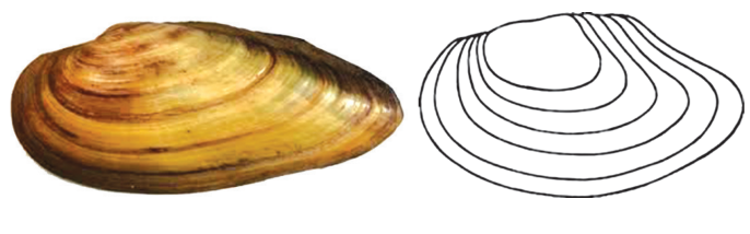0402343l-9689-686x214.png