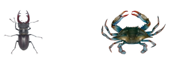 0402346z-6fb1-546x212.png