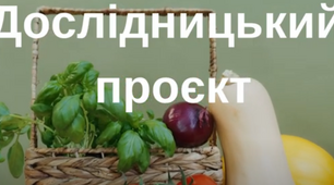Дослідницький проєкт "Вирощування цибулі"