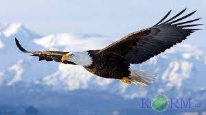 040235zr-5130-300x168.jpg