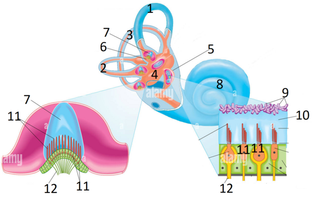 0402371v-0c6b-633x401.png