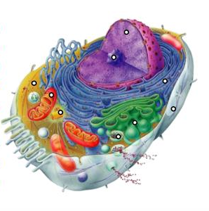 04023akk-96ca-298x300.png