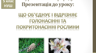 Що об'єднує і відрізняє голонасінні та покритонасінні рослини