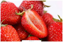 04023he5-b9c5-220x147.png