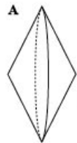 04023ic2-757e-110x203.png