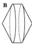 04023icv-367d-107x157.png