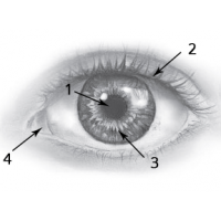 04023m1j-cbf6-200x200.png