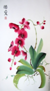 04023m40-8e5d-100x180.png