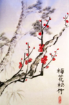 04023m4i-2ed4-100x153.png