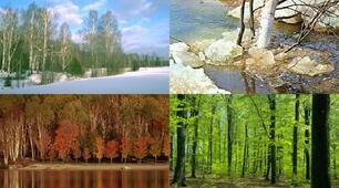 Загальні риси клімату Євразії