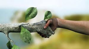 11 клас (профіль). Екологія (ч. 1)