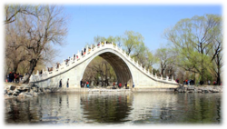 04023ngv-9f69-250x142.png