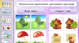 Презентація на тему "Обстеження дитини із ЗНМ"