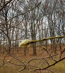 04023njj-5619-212x238.jpg