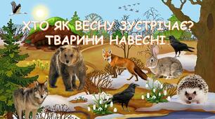 Заняття з розвитку мовлення для дошкільників. Презентація. Хто як весну зустрічає? Тварини навесні.
