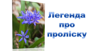 Матеріали до уроку про первоцвіти "Легенда про проліску"
