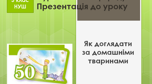 Як доглядати за домашніми тваринами