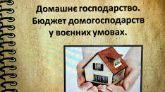 Презентація"Домашнє господарство. Бюджет домогосподарств у воєнних умовах". Громадянська освіта.