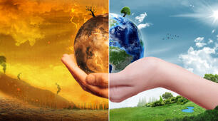 (Копія) Test "NATURE AND THE ENVIRONMENT"