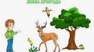 Діагностувальна робота "Вивчаємо живу природу Землі"