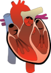 04023wdv-e172-102x144.png
