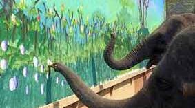 Reading. Elephant Art