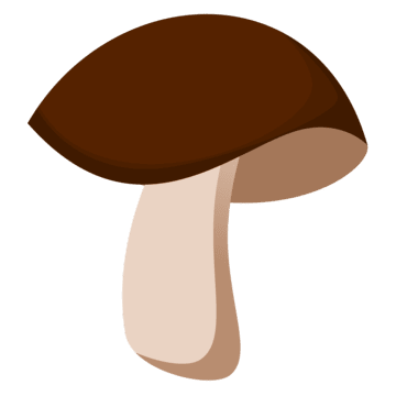 040240b7-82b1-360x360.png